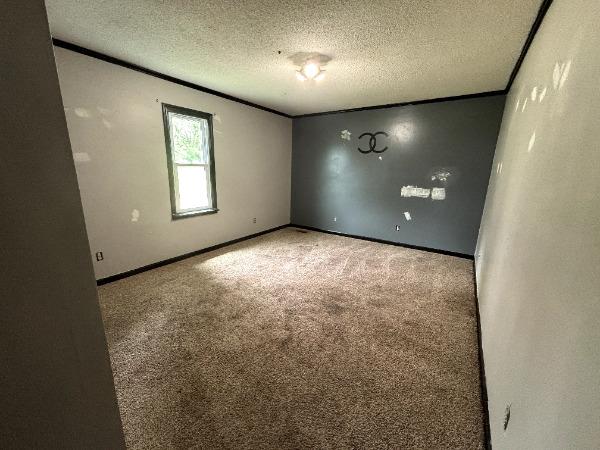 empty room with a textured ceiling, carpet flooring, ornamental molding, and baseboards