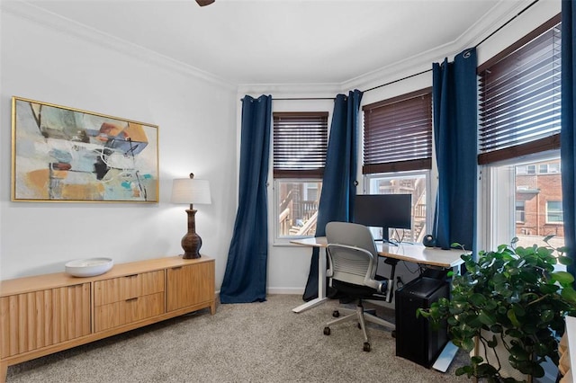230 N Boyle Ave Unit B, Saint Louis, MO 63108 - carpeted office with ornamental molding and baseboards