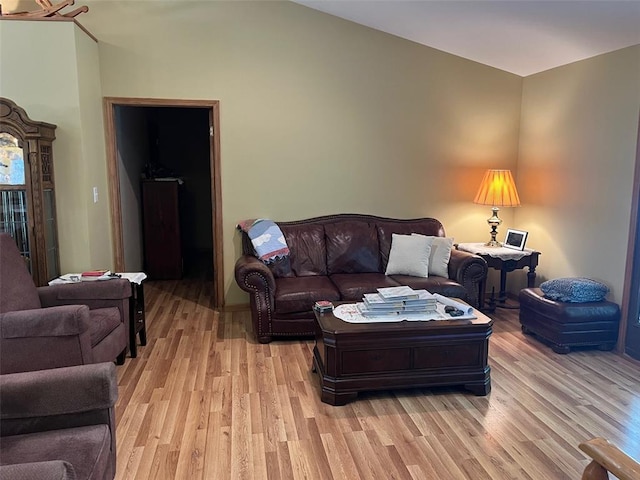 12460 Grassy Hollow Rd, Potosi, MO 63664 - living room with light wood-style floors and vaulted ceiling