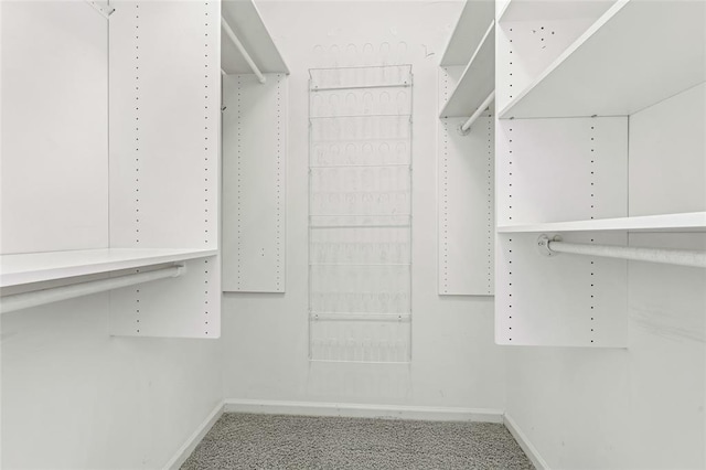 313 Golden Cherry Dr, Wildwood, MO 63040 - spacious closet featuring carpet