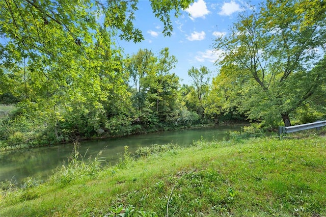 6 Clay St, Park Hills, MO 63601 - view of yard