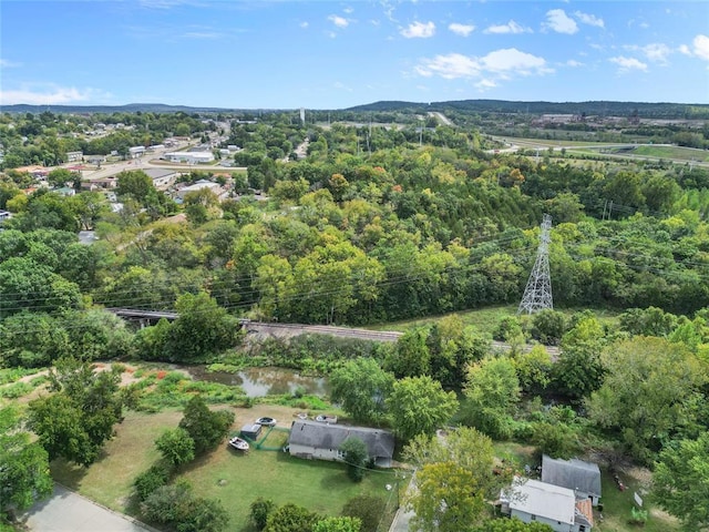 6 Clay St, Park Hills, MO 63601 - view of property location with a heavily wooded area