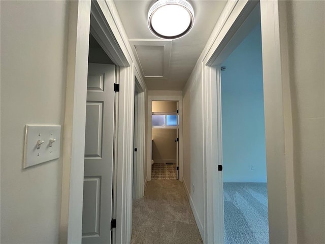 hallway featuring carpet