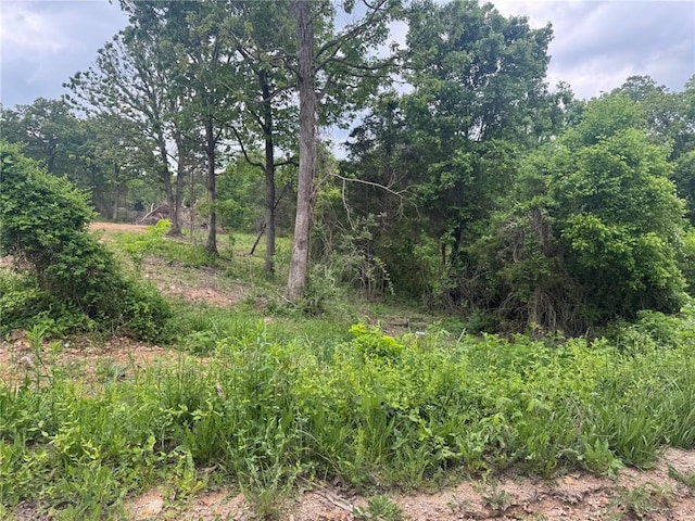 24679 Mineral Dr, Lebanon, MO 65536