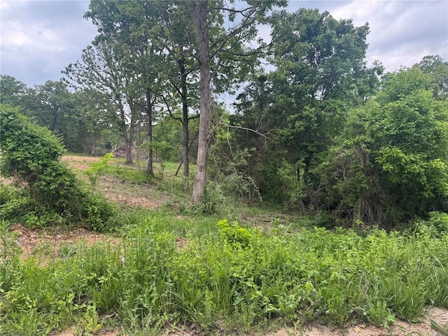 24679 Mineral Dr, Lebanon, MO 65536