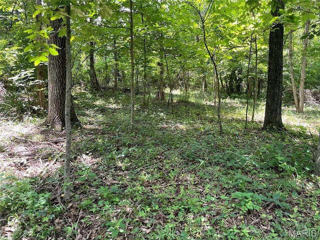0 Oak Grove School Rd, Union, MO 63084 - photo 8