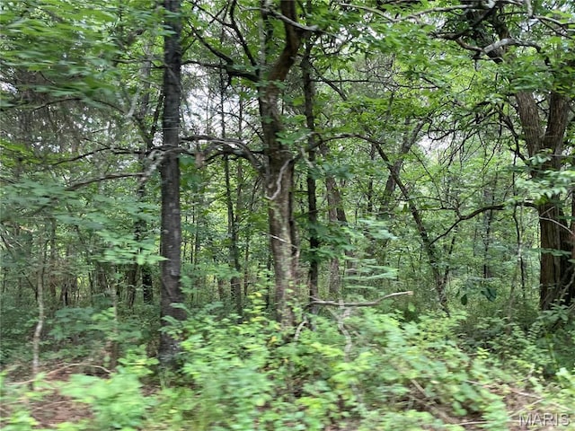 0 Oak Grove School Rd, Union, MO 63084 - photo 12