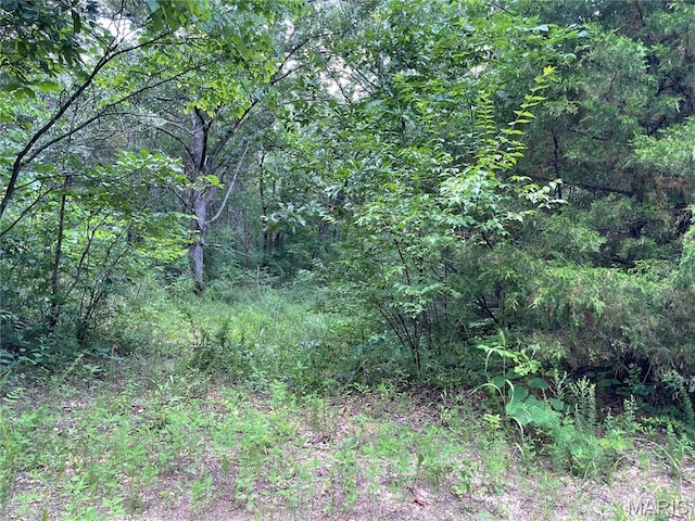 0 Oak Grove School Rd, Union, MO 63084 - photo 13