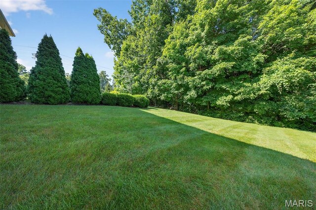 2001 Paul Renaud Blvd, Lake St Louis, MO 63367 - photo 57