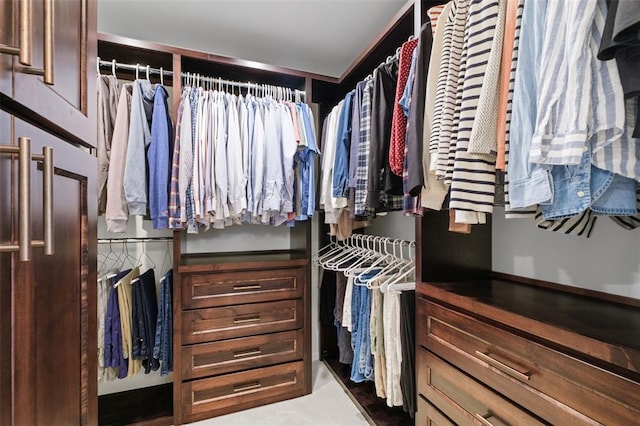 1807 Brookcreek Ln, Kirkwood, MO 63122 - view of spacious closet
