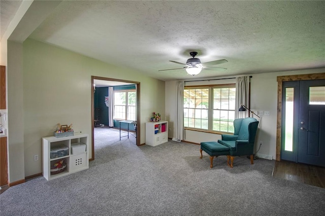 27467 Spruce Rd, Greenfield, IL 62044 - sitting room with a ceiling fan, carpet flooring, baseboards, and a textured ceiling