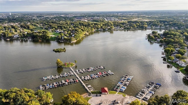 193 Harbor View Dr, Lake St Louis, MO 63367 - aerial view of a large body of water and a marina