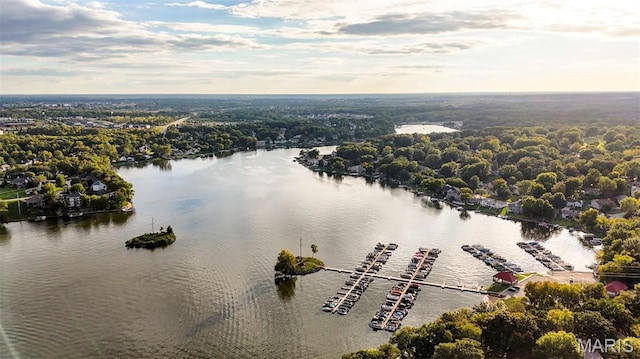 193 Harbor View Dr, Lake St Louis, MO 63367 - bird's eye view of a nearby body of water