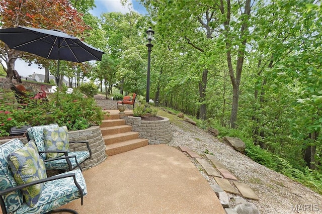 1553 Ridge Rd, Wildwood, MO 63021 - view of patio