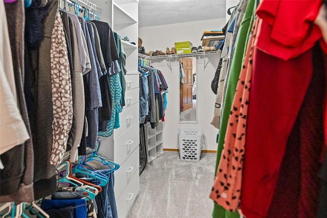 walk in closet featuring carpet floors