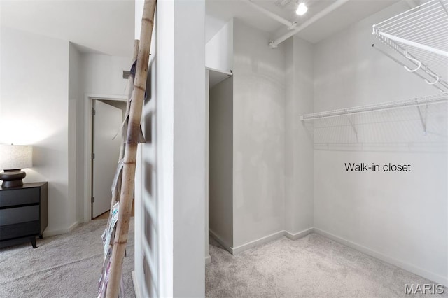 915 Olive St Unit 910, Saint Louis, MO 63101 - walk in closet with carpet floors
