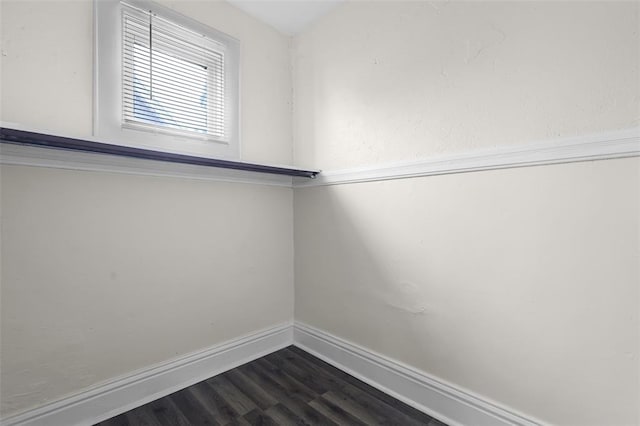 spacious closet featuring dark wood-type flooring