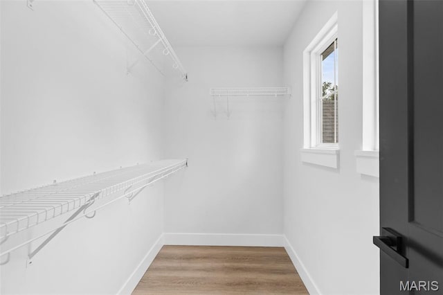 401 Rayburn Ave, Sunset Hills, MO 63127 - walk in closet with light wood-style floors