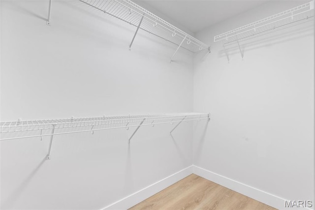 401 Rayburn Ave, Sunset Hills, MO 63127 - walk in closet with light wood finished floors