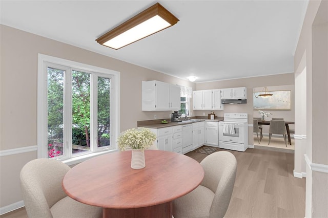 kitchen with white appliances, under cabinet range hood, plenty of natural light, and white cabinets