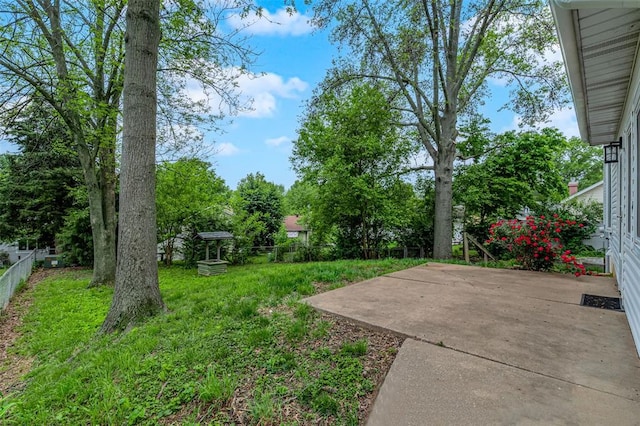view of yard featuring a patio area