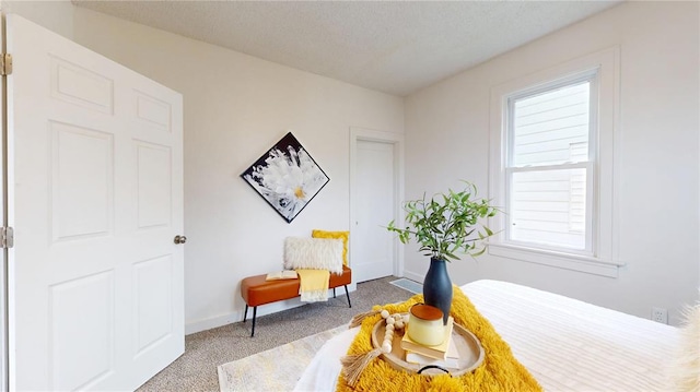 living area featuring carpet floors and baseboards