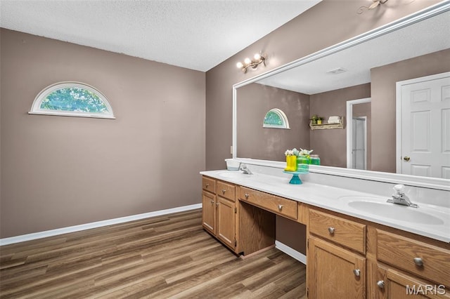 881 Sara Beth Ct, Saint Peters, MO 63376 - bathroom with double vanity, wood finished floors, and a textured ceiling