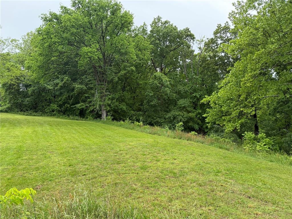 LOT6 Elim Hts, Marble Hill, MO 63764 - photo 2