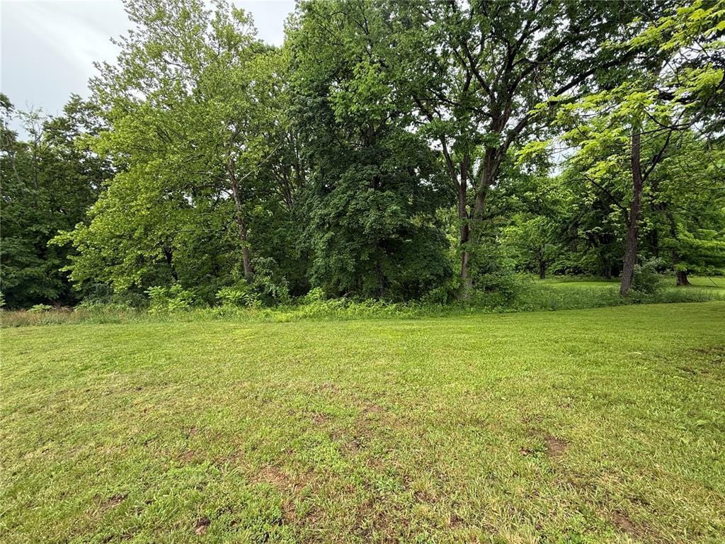 LOT6 Elim Hts, Marble Hill, MO 63764 - photo 3