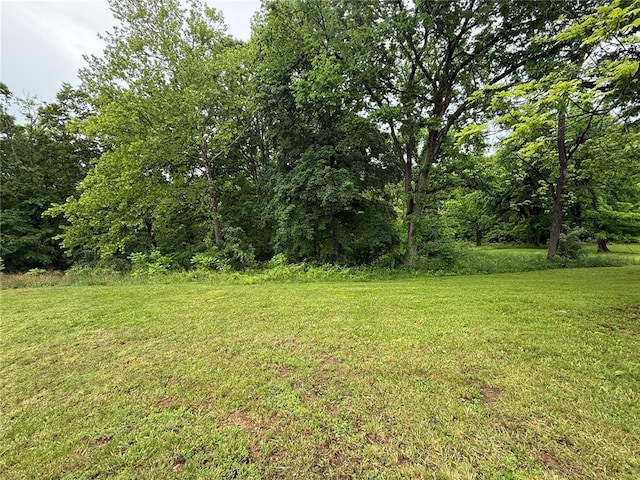 LOT6 Elim Hts, Marble Hill, MO 63764 - photo 3