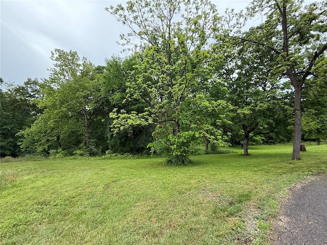 LOT6 Elim Hts, Marble Hill, MO 63764 - photo 4