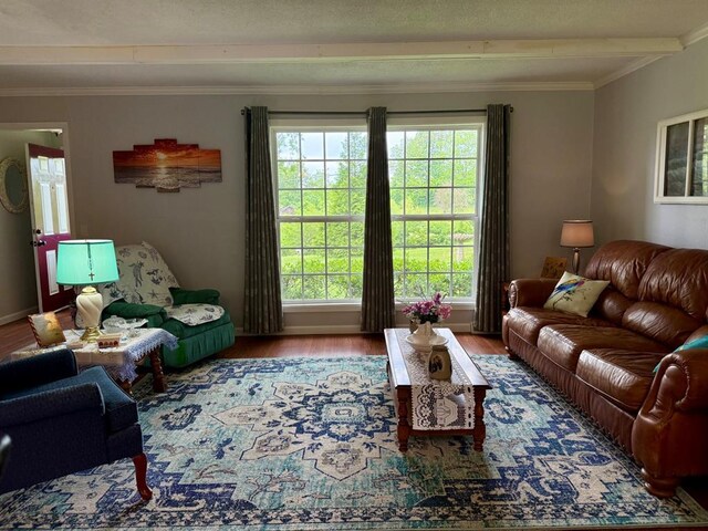 10496 County Road 605, Dexter, MO 63841 - photo 5