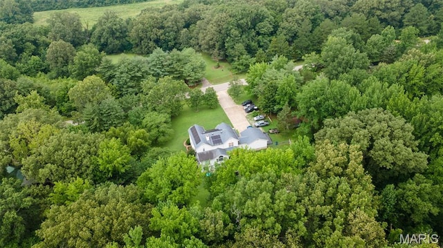 15092 State Highway Ad, Dexter, MO 63841 - aerial view of property and surrounding area with a forest