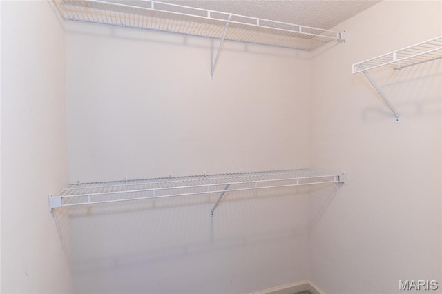 902 Hanna Place Ct Unit A, Manchester, MO 63021 - view of walk in closet