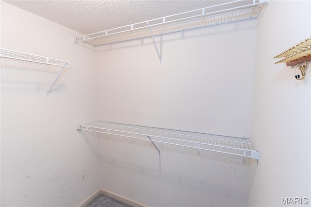 902 Hanna Place Ct Unit A, Manchester, MO 63021 - view of walk in closet
