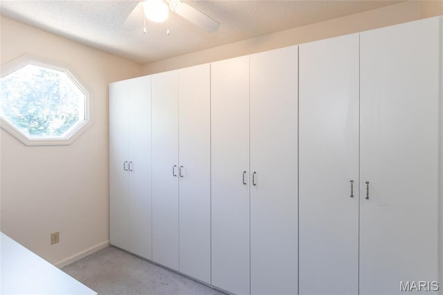 902 Hanna Place Ct Unit A, Manchester, MO 63021 - view of closet