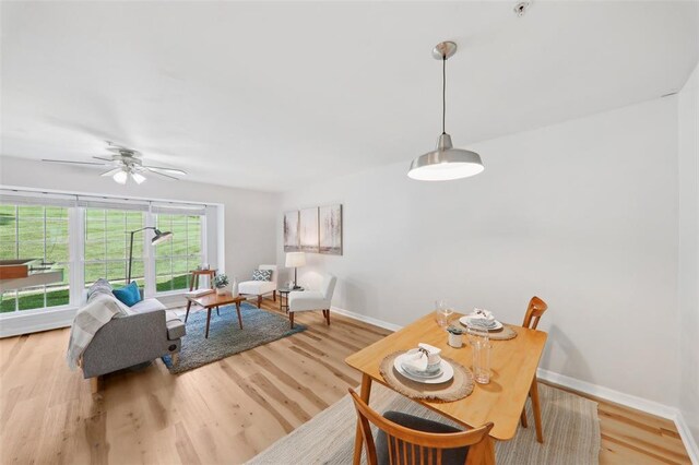 1625 Forest Springs Ln Unit A, Ballwin, MO 63021 - living room with baseboards, wood finished floors, and ceiling fan