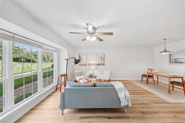 1625 Forest Springs Ln Unit A, Ballwin, MO 63021 - living room with light wood-style flooring, ceiling fan, and baseboards