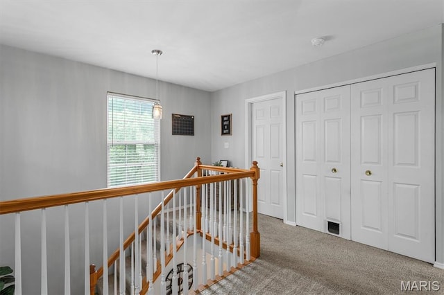 1332 Big Bend Crossing Dr, Manchester, MO 63088 - hallway featuring an upstairs landing and carpet floors