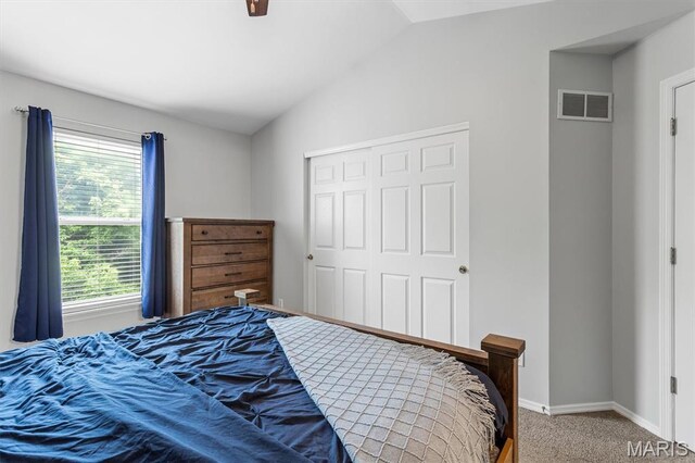 1332 Big Bend Crossing Dr, Manchester, MO 63088 - bedroom featuring lofted ceiling, multiple windows, carpet floors, a closet, and a ceiling fan