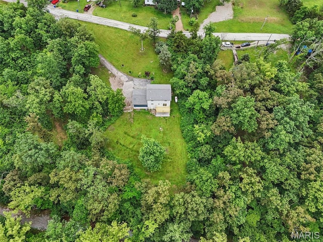 425 Cedar Ln, Wentzville, MO 63385 - aerial overview of property's location