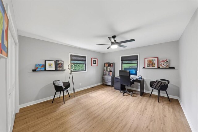 527 W Lake Dr, Edwardsville, IL 62025 - office with plenty of natural light, wood finished floors, a ceiling fan, and baseboards