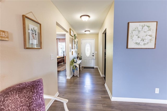 1114 Daffodil St, Sikeston, MO 63801 - entrance foyer with dark wood finished floors and baseboards