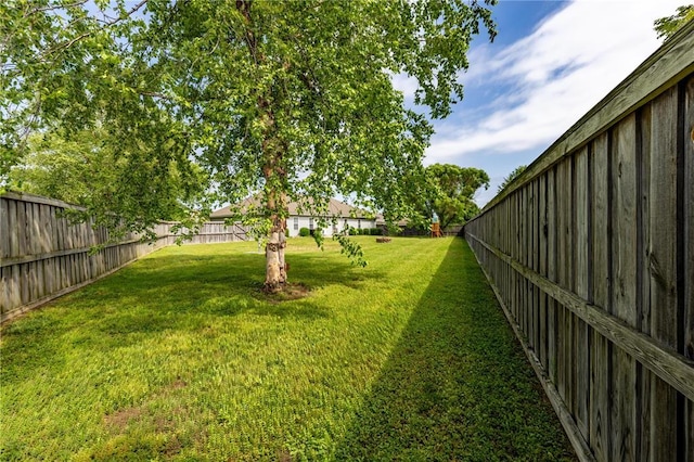 1114 Daffodil St, Sikeston, MO 63801 - view of yard