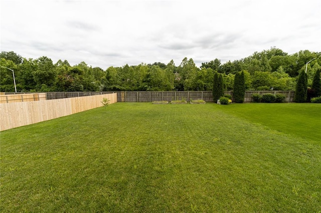 924 Brookside Ln, Rolla, MO 65401 - view of yard