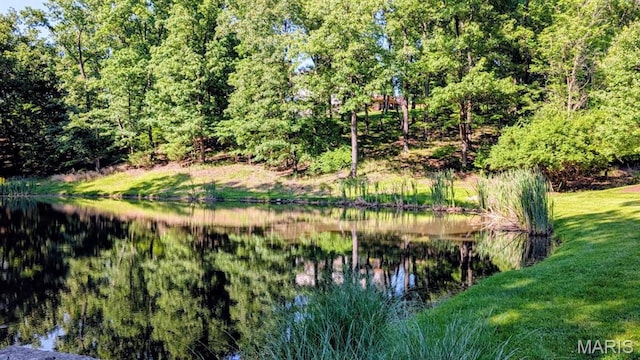 943 Sheffield Forest Ct, Saint Louis, MO 63021 - water view
