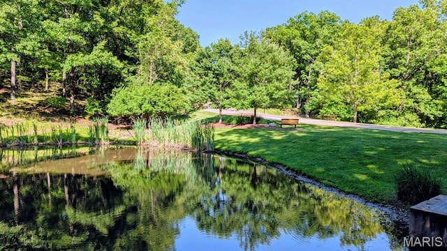 943 Sheffield Forest Ct, Saint Louis, MO 63021 - view of grassy yard with a water view