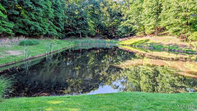 943 Sheffield Forest Ct, Saint Louis, MO 63021 - water view with a forest