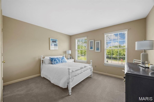 943 Sheffield Forest Ct, Saint Louis, MO 63021 - bedroom featuring light colored carpet