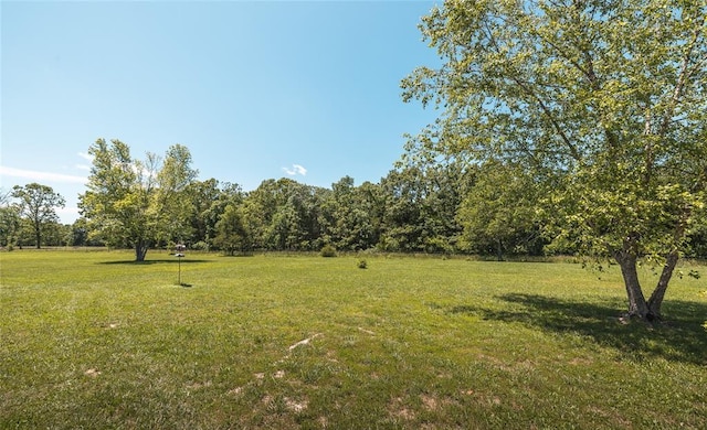12755 Echo Ln, Plato, MO 65552 - view of green lawn